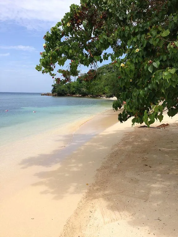 Little Bay Townhomes - Villa Nirvana 内格里尔 0*,